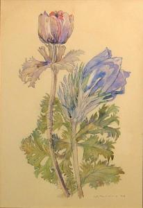 MACKINTOSH Charles Rennie 1868-1928,Flower study,1914,Bonhams GB 2011-03-20