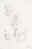 MACKINTOSH Charles Rennie 1868-1928,Large petals,1893,Christie's GB 2005-10-27