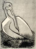 MACLENNAN Stewart 1900-1900,Pelican,International Art Centre NZ 2009-04-29