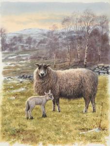 MACPHAIL Rodger 1953,Ewe and Lamb,Tennant's GB 2023-11-11