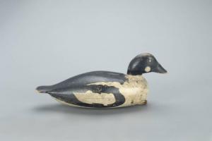 MADARA Clark 1883-1953,Goldeneye Drake,1915,Copley US 2022-03-05