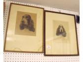 Magee Ross,Spaniels,Smiths of Newent Auctioneers GB 2017-11-10
