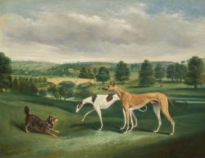 MAGGS John Charles 1819-1896,Terrier and Greyhounds,1850,Freeman US 2024-04-17