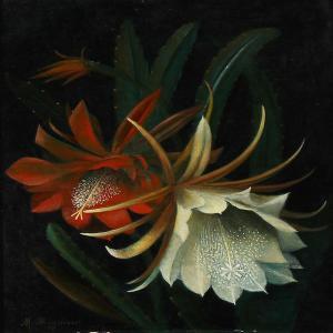 MAGNINO M 1900-1900,A cactus flower,1929,Bruun Rasmussen DK 2014-11-03