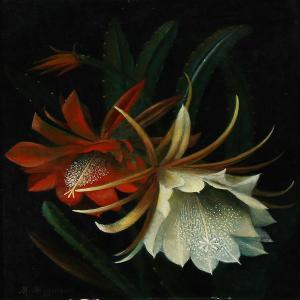 MAGNINO M 1900-1900,A cactus flower,1929,Bruun Rasmussen DK 2014-09-08