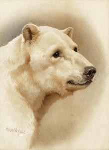 MAGUIRE Helena J. 1860-1909,Study of a polar bear,Bonhams GB 2022-02-15
