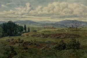 MAHER Fred J. 1871-1963,Moorland Landscape,1904,David Duggleby Limited GB 2022-01-29