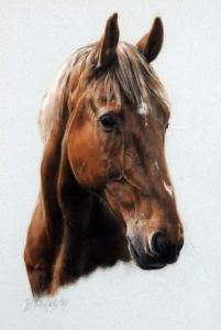 MAILERS YATES B,a horse study,1987,Biddle and Webb GB 2013-01-11