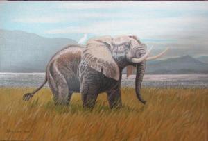 Maitland Laws Richard 1926-2014,An elephant,John Taylors GB 2018-09-04