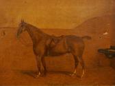 MAJOR W,Talioman  a saddled chestnut hunter standing in a ,1897,Golding Young & Mawer 2017-02-22