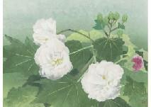 MAKINO Nobuhide,Confederate rose,Mainichi Auction JP 2021-03-26