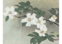 MAKINO Nobuhide,Sasanqua Camellias,Mainichi Auction JP 2021-05-14