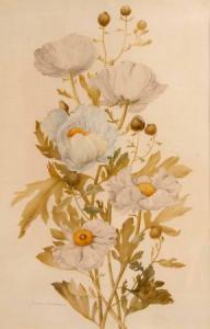 MAKRUSHENKO OLGA 1956,White Californian Poppies,2003,Keys GB 2009-06-12