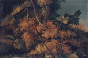MALAGOLI Francesco 1732,A) e b) Natura morta con tralci di uva,Porro & C. IT 2007-05-09