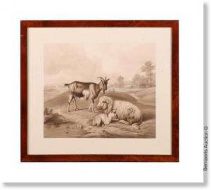 MALHERBE Adolphe 1800-1800,Goat and sheep in slanting landscape,Bernaerts BE 2008-07-06