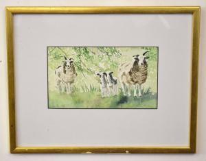 MALTBY Sally 1943,Sheep,Keys GB 2019-06-25