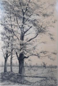 MALTZMAN Stanley 1921,TREES IN A MEADOW,1968,Potomack US 2020-11-18