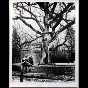 MANCINI Salvatore 1947,L'albero,1972,Il Ponte Casa D'aste Srl IT 2018-11-19