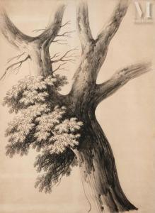 MANDEVARE Alphonse N. Michel 1759-1829,Une paire : études d\’arbres,Millon & Associés FR 2023-11-23