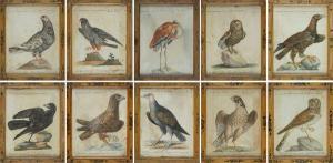 MANETTI Xaverio 1723-1784,Dieci tavole ornitologiche,Galleria Pananti Casa d'Aste IT 2022-06-23