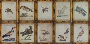 MANETTI Xaverio 1723-1784,Dieci tavole ornitologiche,Galleria Pananti Casa d'Aste IT 2022-06-23