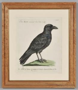 MANETTI Xavier 1723-1784,Five Engraved Ornithological Prints,Skinner US 2016-10-30
