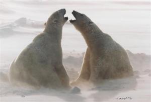 MANGELSEN Thomas,Two Polar Bears #608/1200,Hindman US 2018-11-09