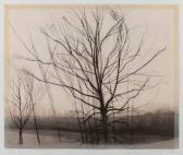 MANGOLD Sylvia Plimack 1938,The Pin Oak at The Pond,1986,Hindman US 2020-12-09