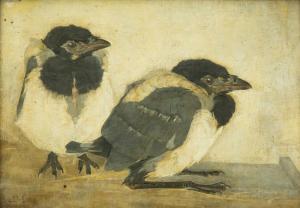 MANKES Jan 1889-1920,Twee jonge eksters / Two young magpies,1909,Venduehuis NL 2023-11-14