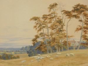 MANLY Alice Elfrida 1846-1923,Sketch East Grinstead, sheep in a field before tr,Golding Young & Co. 2022-08-24