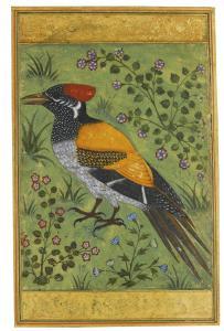 MANSUR,A yellow-backed woodpecker,1585-90,Sotheby's GB 2015-10-06