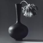 MAPPLETHORPE Robert 1946-1989,Parrot Tulip in Black Vase,1988,Lempertz DE 2023-12-01