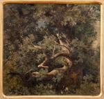 MARAK Julius Eduard 1832-1899,Study of an old oak tree,Vltav CZ 2021-06-17