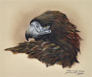 MARGOCSY Paul 1945,Wedge-tailed Eagle,Elder Fine Art AU 2020-05-05