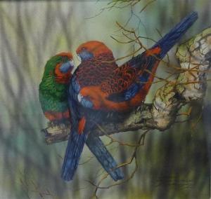 MARGOSCY Paul 1945,AUSTRALIAN CRIMSON ROSELLAS,Leonard Joel AU 2013-06-27