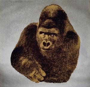 MARI Enzo 1932-2020,'Quindici Il Gorilla' from 'Serie della Natura',1976,Quittenbaum DE 2011-12-06