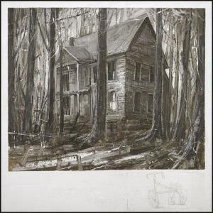 MARICONTI Andrea 1978,The strange house in the wood,2007,Meeting Art IT 2018-06-20