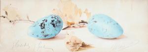 MARIE Prinsesse, Danmark 1865-1909,Two turquoise blue eggs, in the backgroound a fa,Bruun Rasmussen 2023-02-20