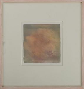 MARK Wendy,Pink Explosion,1995,Stair Galleries US 2013-02-02