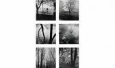 markovitch dora 1907-1997,VUES D'arbres au bord d'une rivière,1927,Piasa FR 1998-11-20