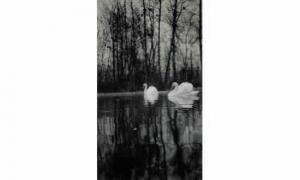 markovitch dora 1907-1997,VUES DE cygnes sur un bassin,1929,Piasa FR 1998-11-20