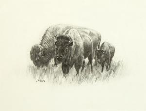 MARKS George B 1923-1983,Untitled (Buffalo Family),1978,Santa Fe Art Auction US 2022-05-28