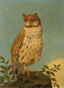 MARKS Henry Stacy 1829-1898,Long Eared Owl,Bearnes Hampton & Littlewood GB 2023-01-17