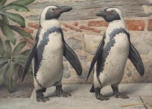 MARKS Henry Stacy 1829-1898,Penguins,1880,Forum Auctions GB 2023-12-14