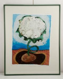 MARLATT Megan,Cauliflower Navel,1996,Harlowe-Powell US 2011-04-23