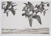 MARPLES George 1869-1939,Canada geese in flight,Woolley & Wallis GB 2011-09-28