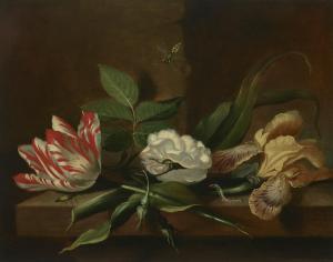 MARREL Jacob 1614-1681,A parrot tulip, a rose, an iris and insects on a w,Christie's GB 2024-01-31