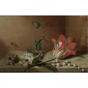 MARREL Jacob 1614-1681,A STILL LIFE WITH A TULIP, ANEMONES, LILY-OF-THE-V,1634,Sotheby's 2008-05-07