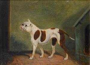 Marsden 1900-1900,Brown and white Bulldog by a kennel,Bonhams GB 2009-02-10