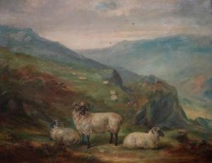 MARSDEN William Theodore,Sheep in a mountain landscape,Halls GB 2019-03-20